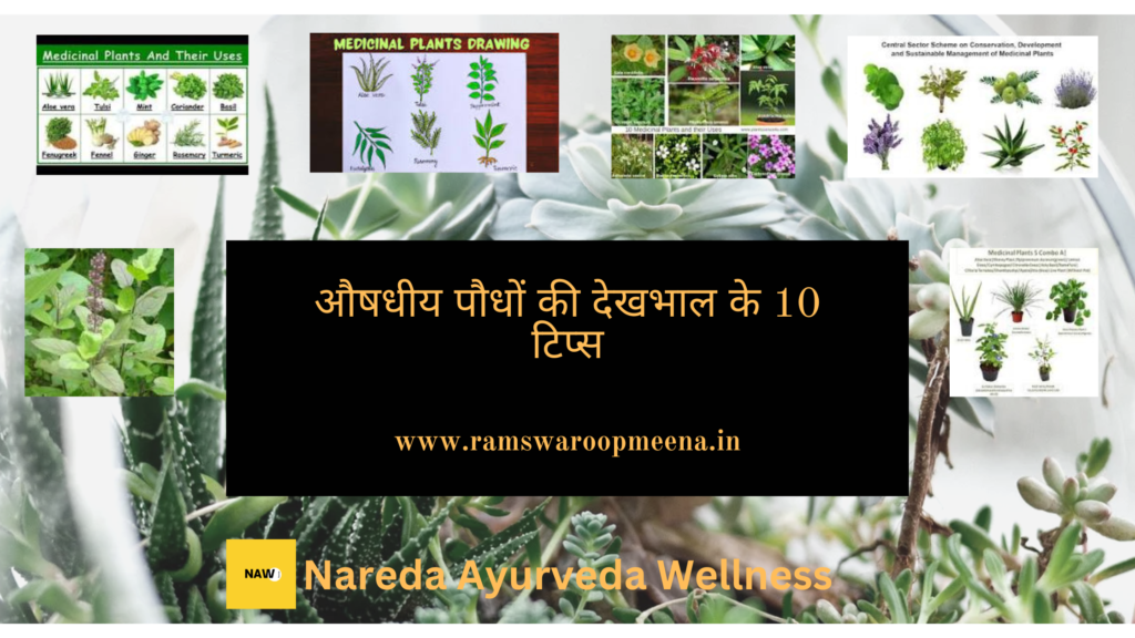 औषधीय पौधे